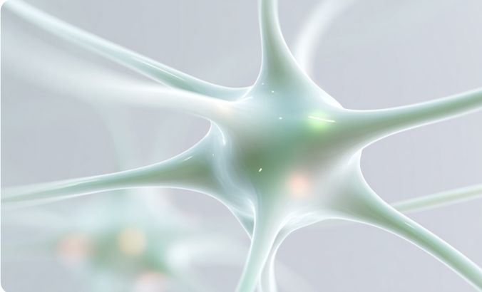 Neuron